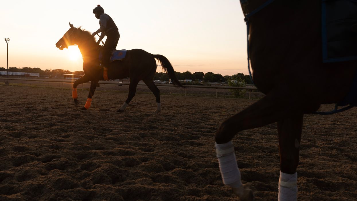 Cobra Venom, Cocaine, and Corruption: New Documentary Reveals the Dark Side of Horse Racing