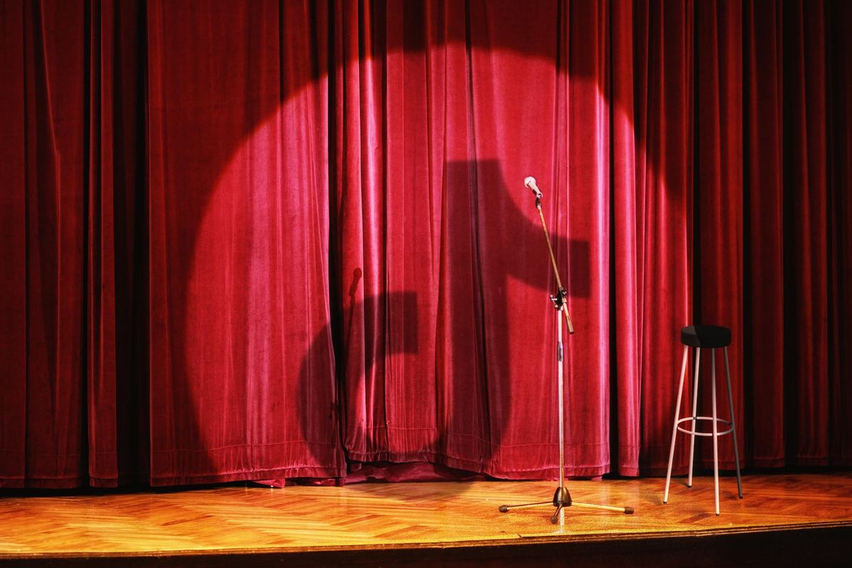 ‘I’m an Internet Bitch’: How TikTok Created a New Kind of Comedy Career