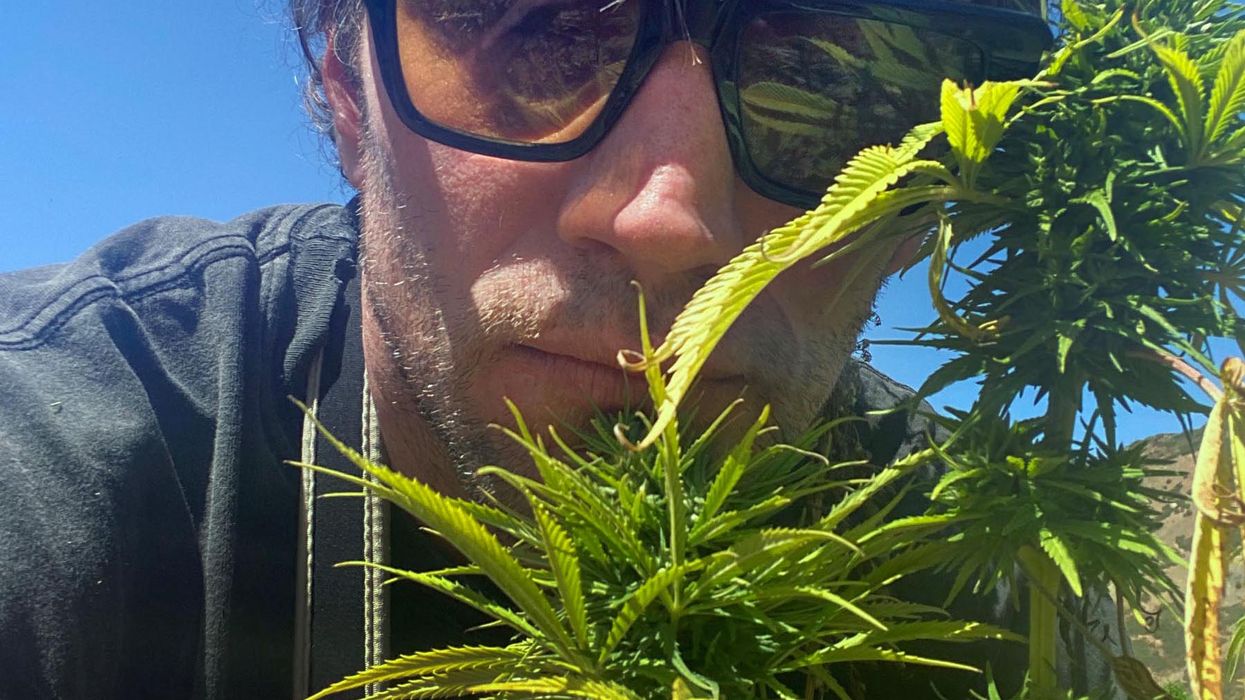 Can a Weed Hustler Go Legit?